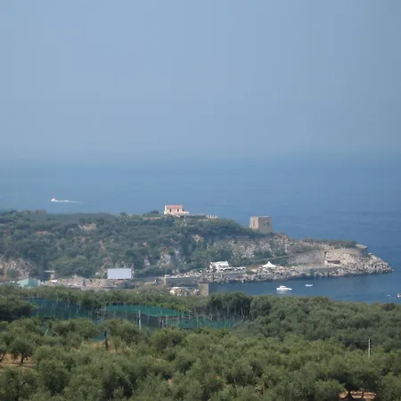 Igea Hotel